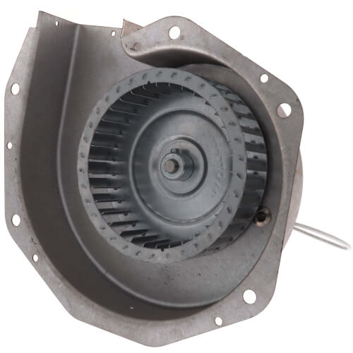 Goodman-Amana 20044403 blower motor - detail view (Product Type: Blower Motor)