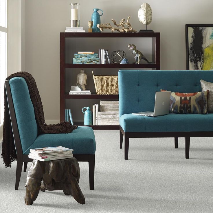 STAINMASTER PetProtect Baxter I Mac Textured Carpet (Indoor)