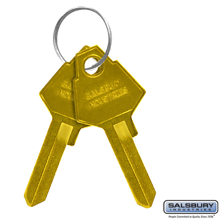 Key Blanks for Standard Locks of Americana Mailboxes - Box of 50