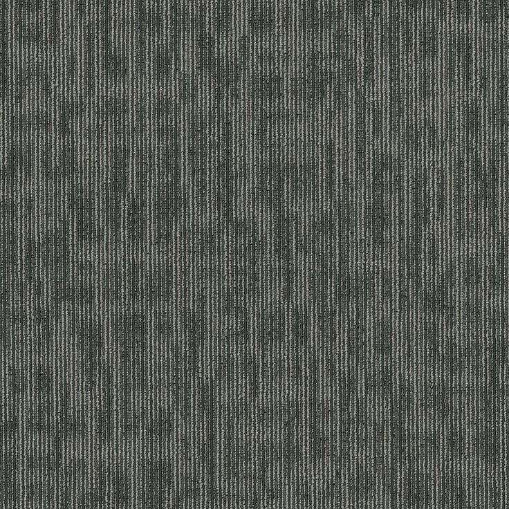Shaw Whiz Kid 24-in x 24-in Sharp Multi-level Loop Full Spread Adhesive Carpet Tile (48-sq ft)
