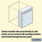 Surface Mounted Aluminum Letter Box with USPS Access