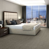 Shaw Go Getter 24-in x 24-in Brilliant Multi-level Loop Full Spread Adhesive Carpet Tile (79.99-sq ft)