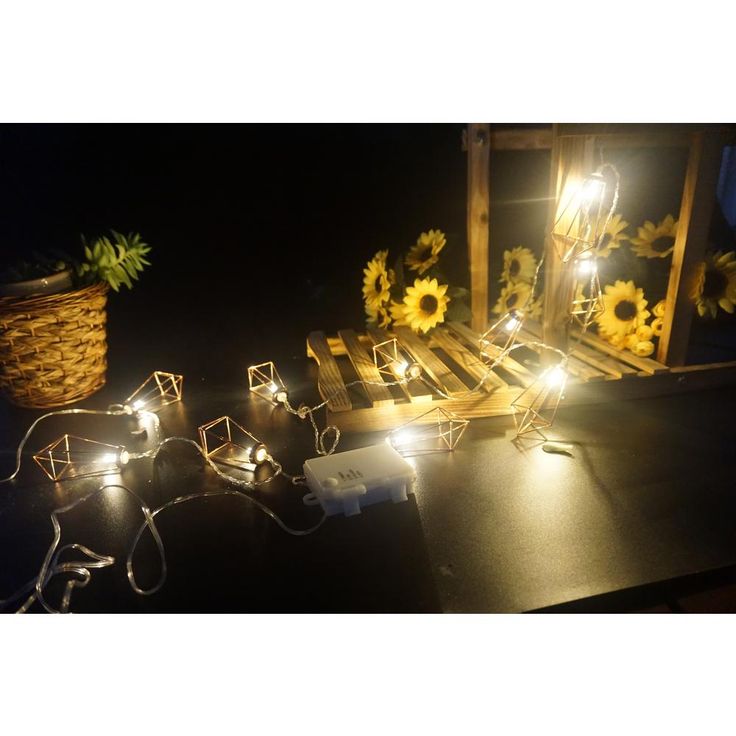 12 ft. 10-Light Battery Operated  Metal Indoor Integrated LED String Lights