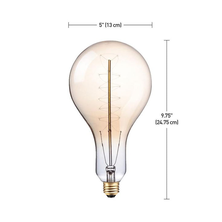 Globe Electric 100-Watt PS42 Oversized Vintage Incandescent Bulb