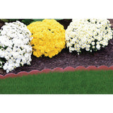 ProFlex 2 in. x 100 ft. Red Polyethylene Scalloped Woodgrain  No-Dig Edging Kit - Super Arbor