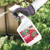 Bonide Captain Jack's DeadBug Brew Ready-to-Use Organic Insect Killer, 32 oz (Quart)