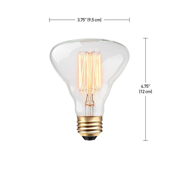 Globe Electric 40W Clear Designer Vintage Edison Labo Incandescent Light Bulb