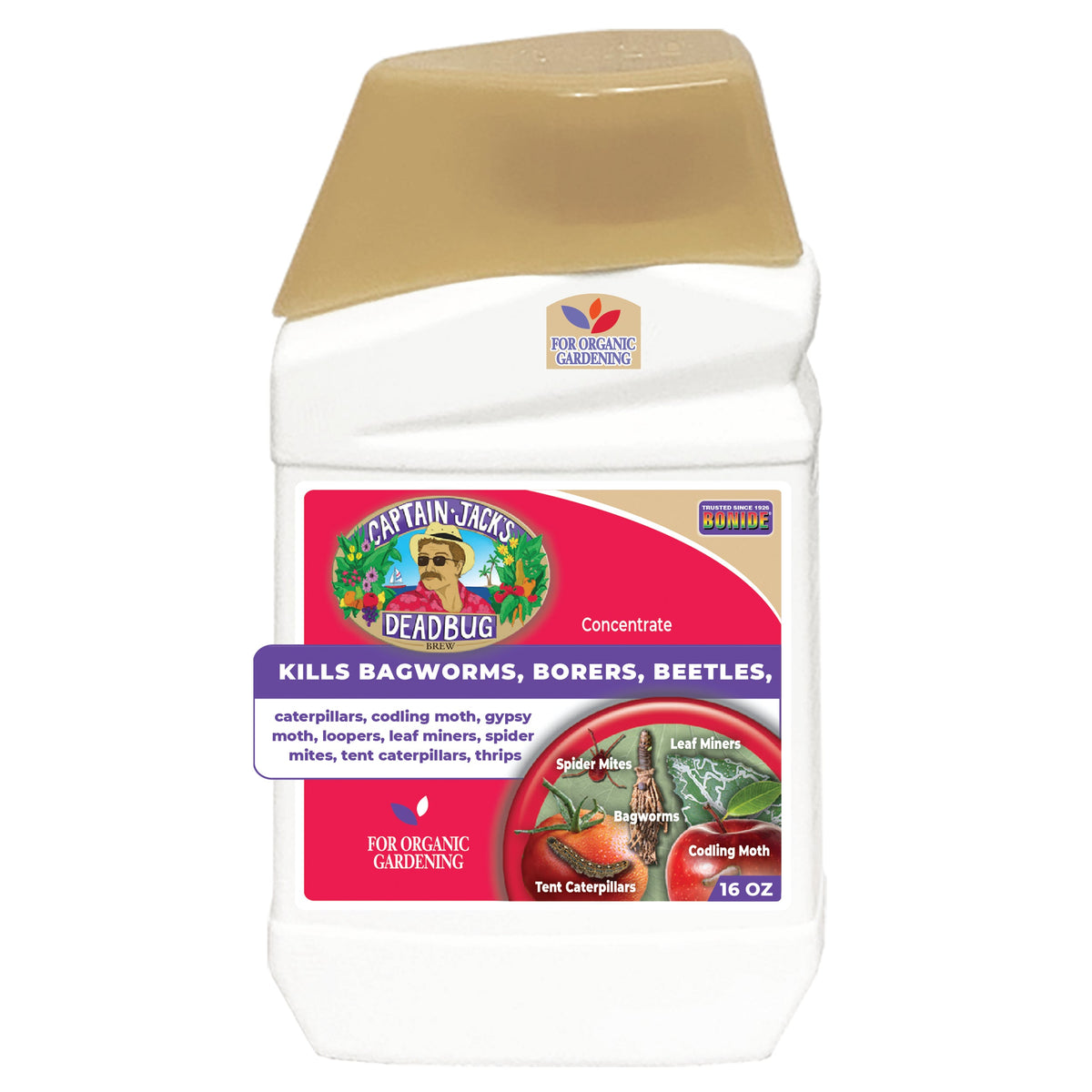 Bonide Captain Jack's DeadBug Brew Organic Concentrate Insect Killer, 16 oz