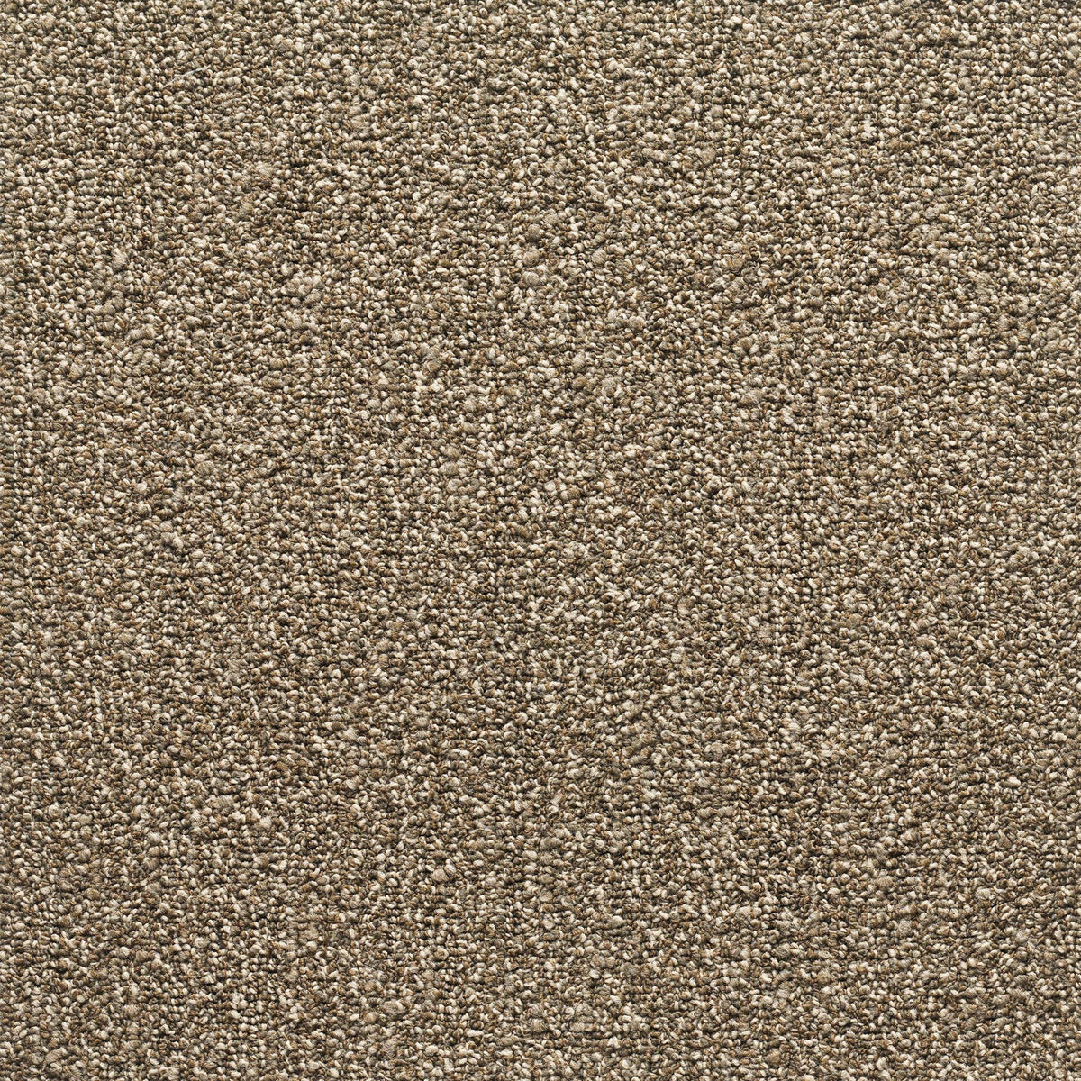 Horsforth 24" x 24" (72SF/carton) carpet tile in SLATEN SKY - Super Arbor