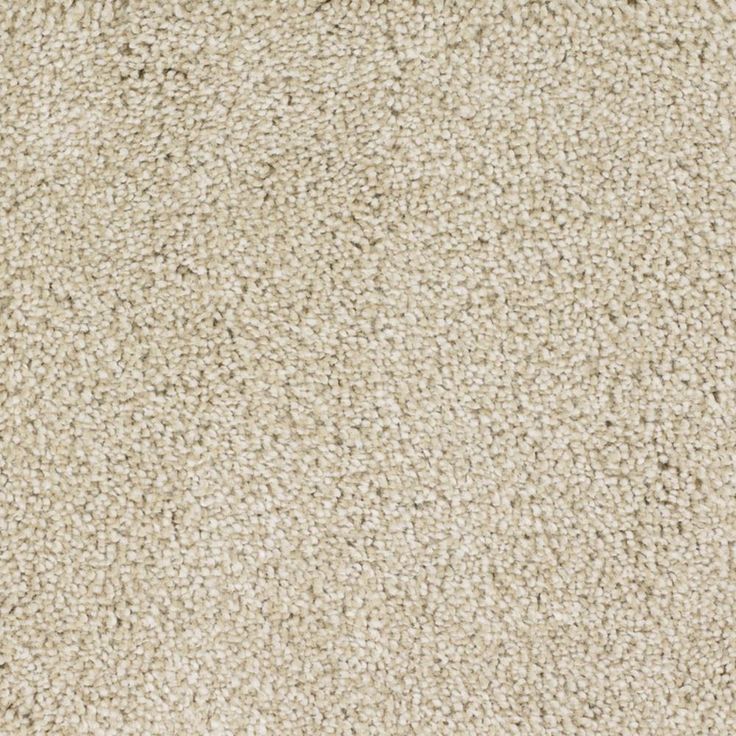 STAINMASTER Signature Briar Patch Bamboo Textured Carpet (Indoor)