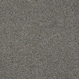 STAINMASTER PetProtect Baxter II Schnauzer Textured Carpet (Indoor)