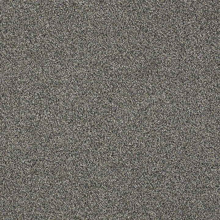 STAINMASTER PetProtect Baxter II Schnauzer Textured Carpet (Indoor)