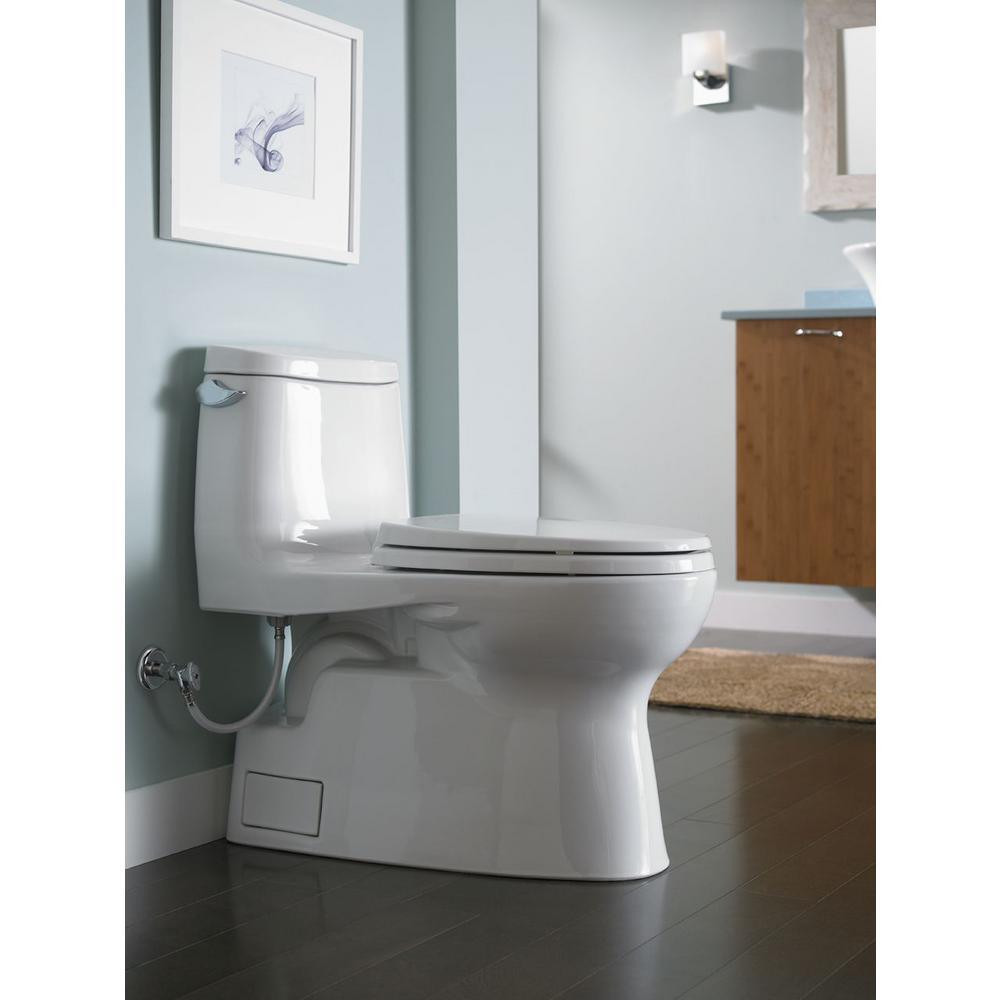 Carlyle II 1-Piece 1.28 GPF Single Flush Elongated Skirted Toilet with CeFiONtect in Sedona Beige - Super Arbor