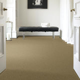 STAINMASTER PetProtect Baxter I Molly Textured Carpet (Indoor)