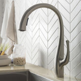 Spot Free Ansel Single-Handle Pull-Down Sprayer Kitchen Faucet in All-Brite Stainless Steel - Super Arbor