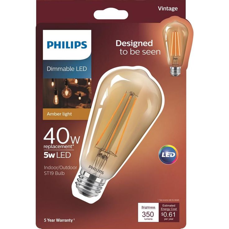 Philips 40-Watt Equivalent ST19 Dimmable Vintage Glass Edison LED Light Bulb Amber Warm White (2000K) (1-Bulb)