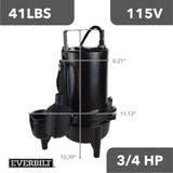 3/4 HP Sewage Pump