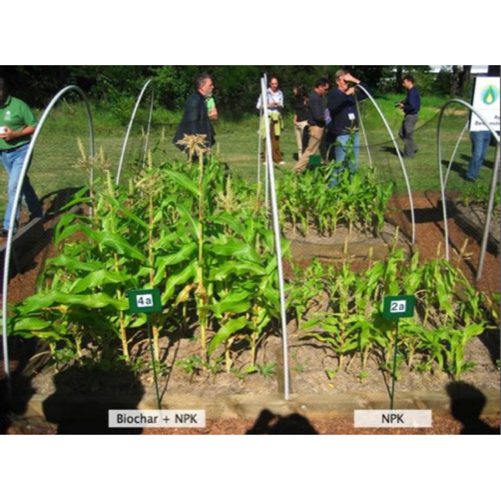 WAKEFIELD 1 cu. ft. Bag Premium Biochar Organic Garden Soil Conditioner - Super Arbor
