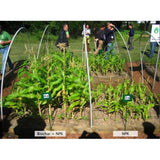WAKEFIELD 1 cu. ft. Bag Premium Biochar Organic Garden Soil Conditioner - Super Arbor