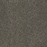 STAINMASTER PetProtect Baxter I Doberman Textured Carpet (Indoor)