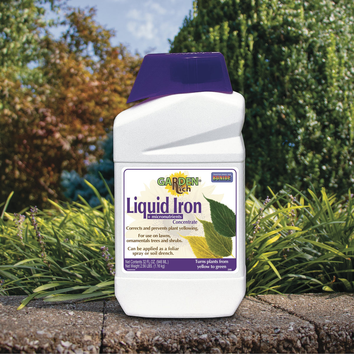 Bonide Garden Rich Liquid Iron Concentrate Plant Food, 32 oz