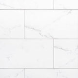 San Giorgio Venato II Matte Porcelain Tile, 12 x 24