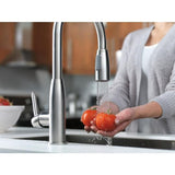 Peerless Choice Chrome 1-Handle Deck-Mount Low-Arc Handle Kitchen Faucet