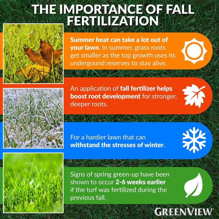 GreenView 48 lbs. Fall Lawn Food