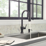 Marchand Single Handle Pull-Down Sprayer Kitchen Faucet in Legacy Bronze - Super Arbor