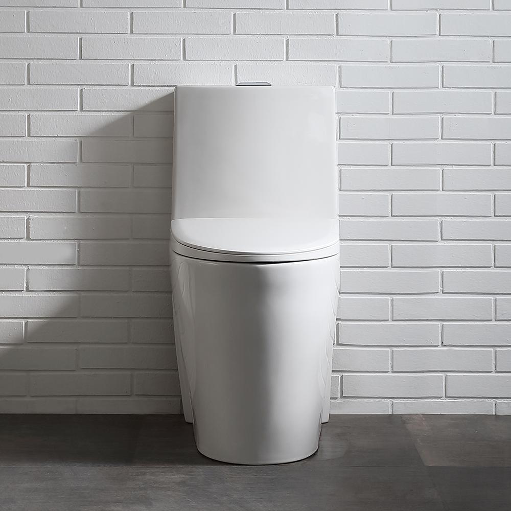 Buxton 1-Piece 1.6 GPF/1.1 GPF Dual Flush Elongated Toilet in White - Super Arbor