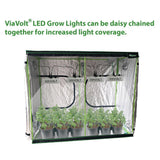 65-Watt Full Spectrum LED Grow Light - Super Arbor