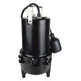 3/4 HP Sewage Pump