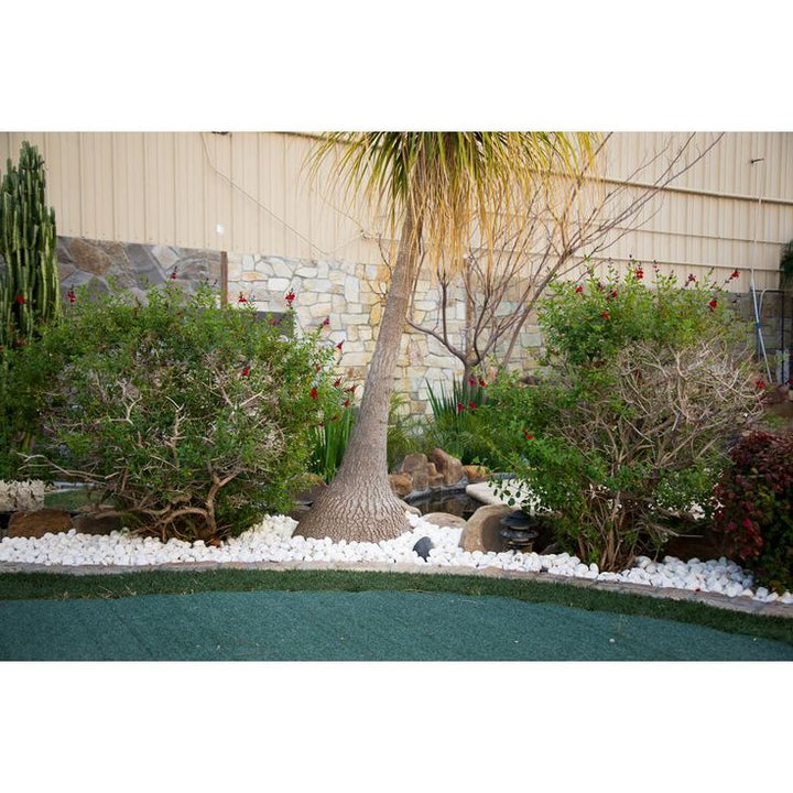 MSI Himalaya White 0.5 cu. ft . 1 to 2 in. Pebbles. 40 lbs. Bag (55 Bags/Pallet)