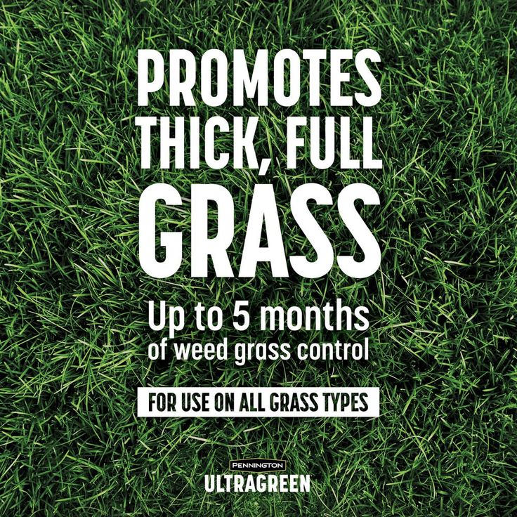 Pennington 30-0-4 5M 12.5 lbs.Crabgrass Preventer Plus Fertilizer