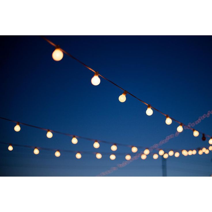 Indoor and Outdoor 50 ft. Black Warm White LED Plug-in String Light, 50-Light Bulbs Included
