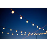 Indoor and Outdoor 50 ft. Black Warm White LED Plug-in String Light, 50-Light Bulbs Included