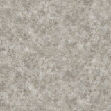 Congoleum ArmorCore Ethereal 12-ft W Cut-to-Length Stormy Gray Stone Look Low-Gloss Finish Sheet Vinyl