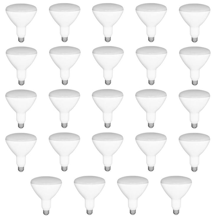 65-Watt Equivalent BR30 Dimmable LED Light Bulb Daylight (24-Pack)