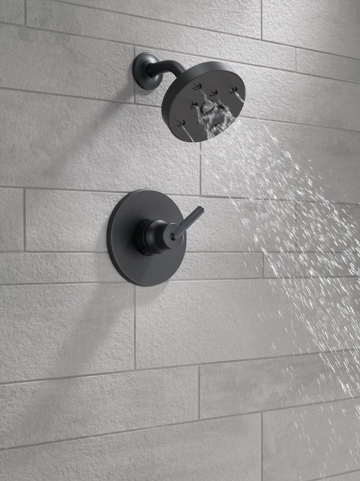 Delta Trinsic Matte Black 1-Handle Shower Faucet
