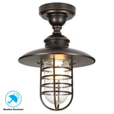 Dual-Purpose 1-Light Outdoor Hanging Oil-Rubbed Bronze Pendant or Flushmount Lantern
