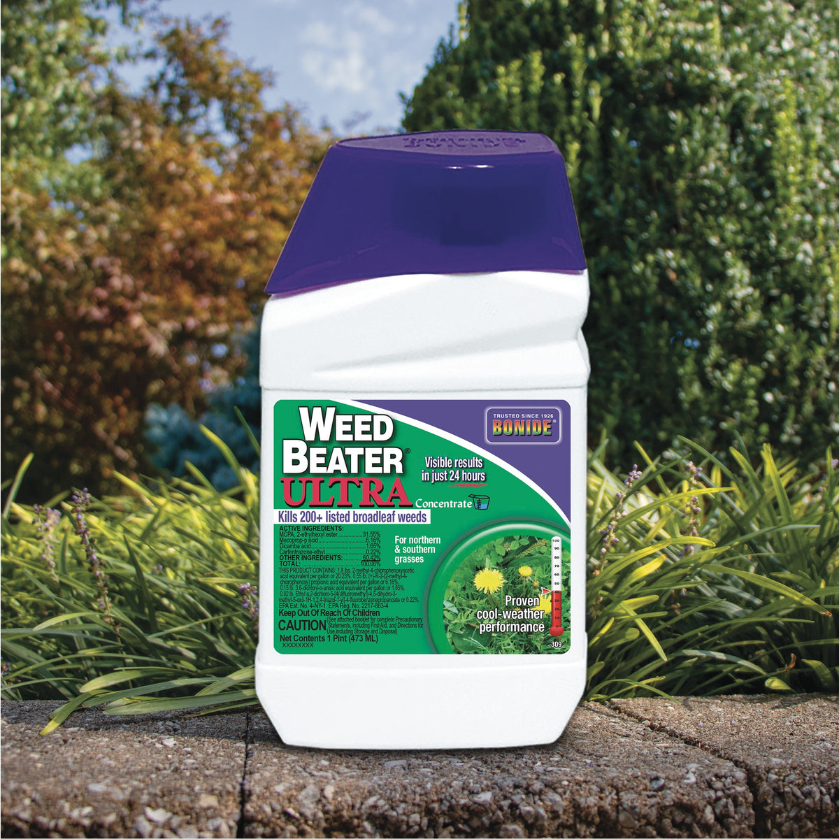 Bonide Weed Beater Ultra Weed Killer Concentrate, 1-Pint