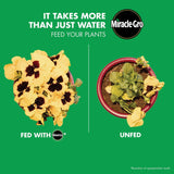 30b09e06-4b2a-4c17-a8de-8c42372bf9f1_quality=60&_mzcb=_1649148331752_1405021814