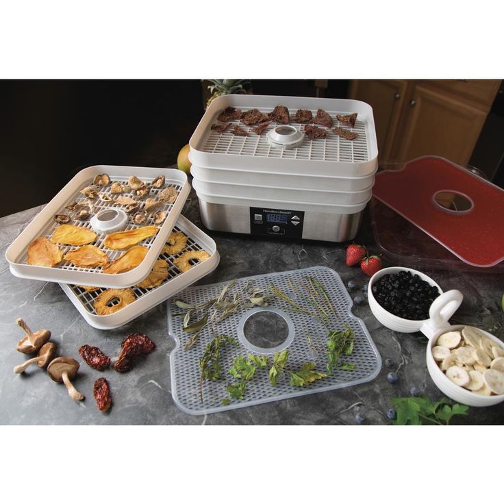 5-Tray Stainless Steel Food Dehydrator with Programmable Settings