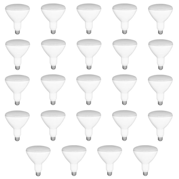 65-Watt Equivalent BR30 Dimmable LED Light Bulb Daylight (24-Pack)