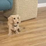 CALI (Sample) Vinyl Pro Classic Blonde Ale Waterproof Wood Look Interlocking Luxury Vinyl Plank