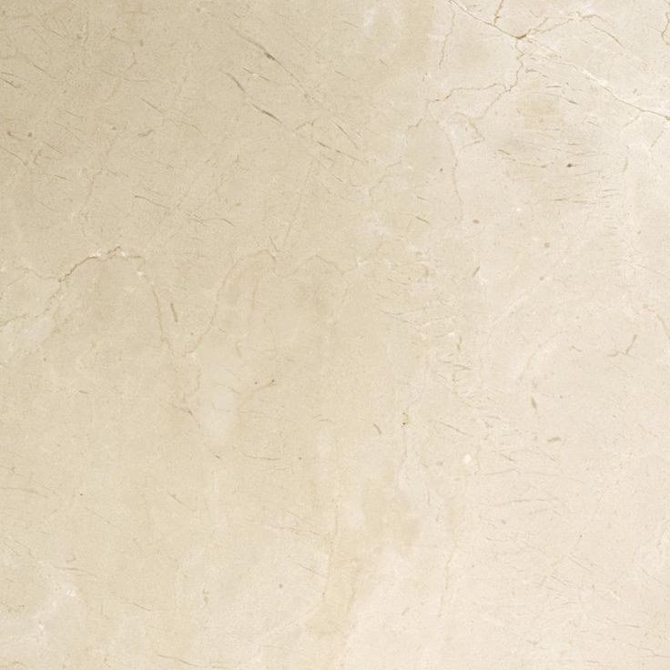 Emser MARBLE Crema Marfil Classico 24-in x 24-in Polished Natural Stone Marble Stone Look Floor and Wall Tile