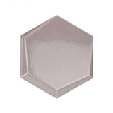 Magen Leveled-Hex Gray Polished Ceramic Hexagon Tile