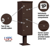 Outdoor Parcel Locker with 2 Compartments in Bronze with USPS Access