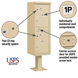 Outdoor Parcel Locker with 2 Compartments in Sandstone for USPS Access