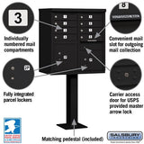 Cluster Box Unit with 8 Doors and 2 Parcel Lockers in Black with USPS Access